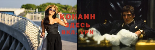 spice Алексин