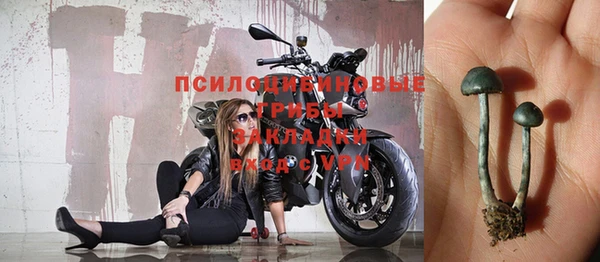 spice Алексин